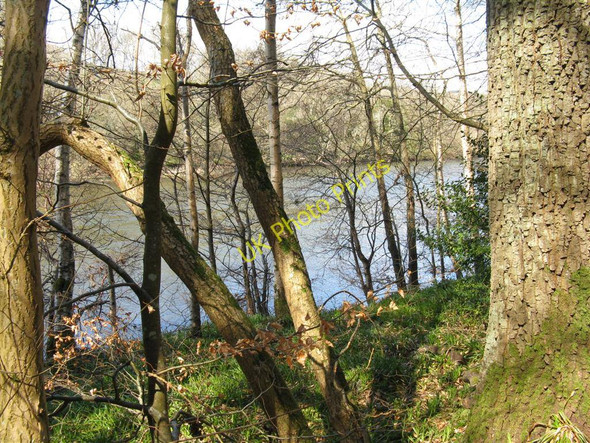 Photo 6"x4" Looking across the River Tweed Boleside c2010