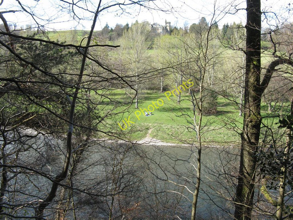 Photo 6"x4" A view from the woods Boleside c2010