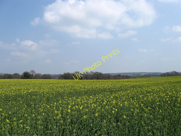 Photo 6"x4" Eleven Acres Hailsham c2010