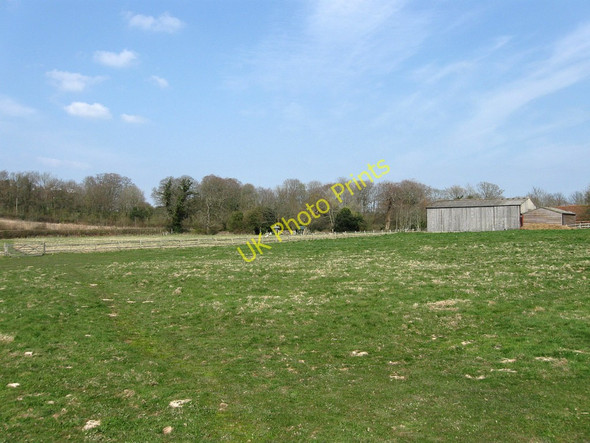 Photo 6"x4" Barn Field Golden Cross\/TQ6310 c2010
