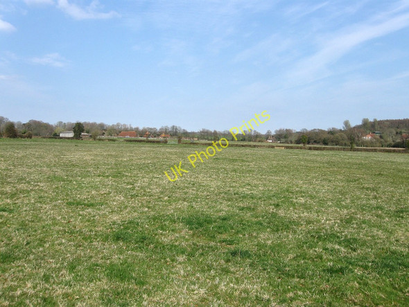 Photo 6"x4" Cow Field Golden Cross\/TQ6310 c2010