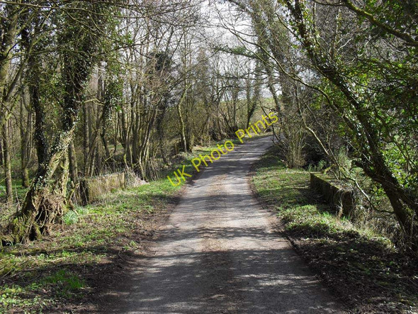 Photo 6"x4" Road Crossing Stream Banks\/NY5664 c2010