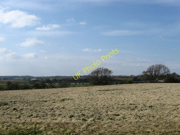 Photo 6"x4" Church Meadow Golden Cross\/TQ6310 c2010