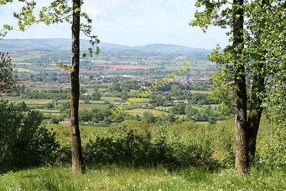 Photo 6"x4" Wellington: view from Quarts Moor Simonsburrow c2006
