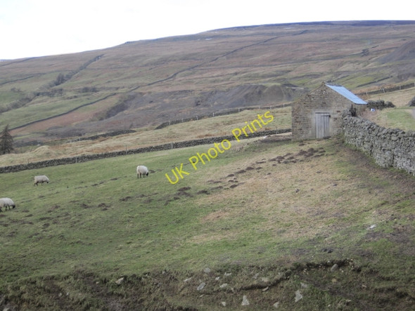 Photo 6"x4" Field Barn below Low Monks Snaisgill c2010
