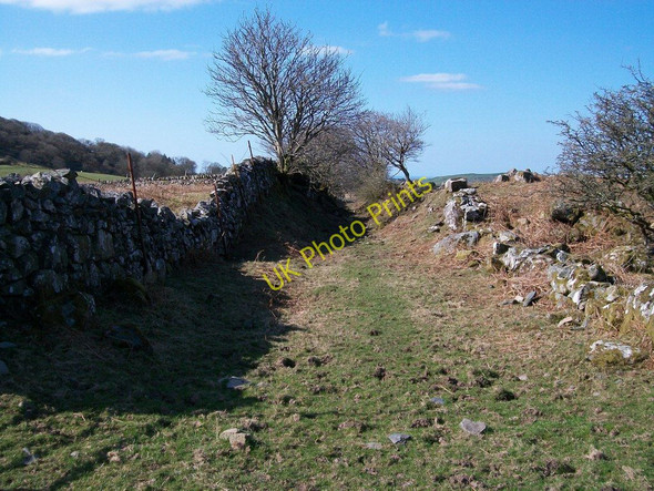 Photo 6"x4" View south along the former track bed of the Gorseddau Tramway Golan c2010