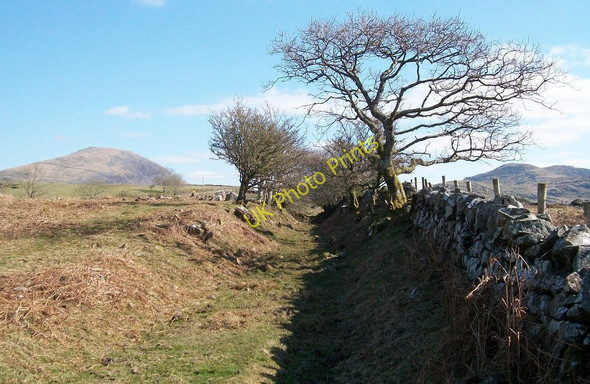 Photo 6"x4" View north-eastwards through a shallow cutting on the former Gorseddau Tramway Golan c2010