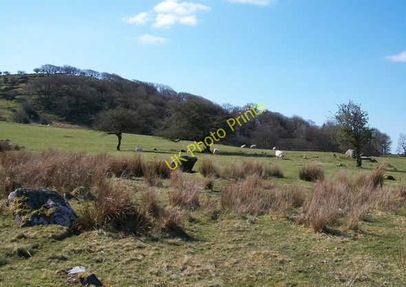 Photo 6"x4" Sheep pastures below Gesail Gyfarch Golan c2010