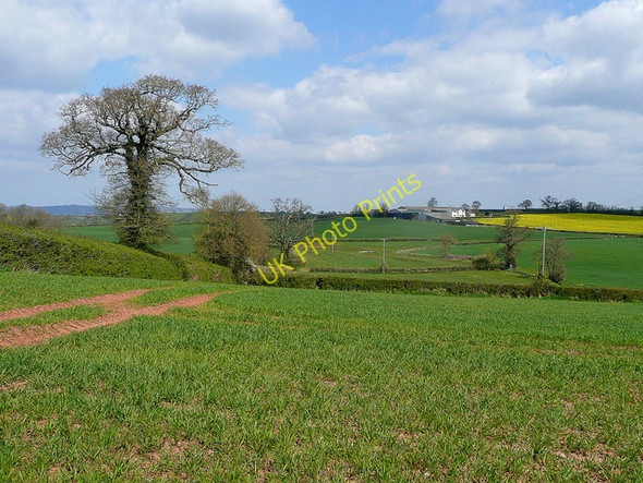 Photo 6"x4" East Devon arable Clyst St Mary c2010