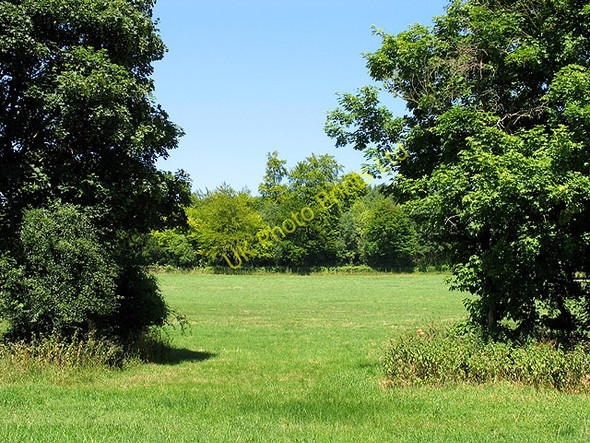 Photo 6"x4" Farmland near Avoca Farm: Whitchurch-on-Thames Lower Basildon c2005