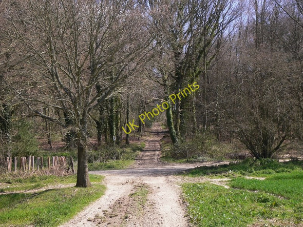 Photo 6"x4" Cross tracks Madehurst c2010