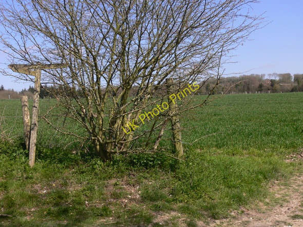 Photo 6"x4" Bridleway junction with footpath on Great Down Madehurst c2010