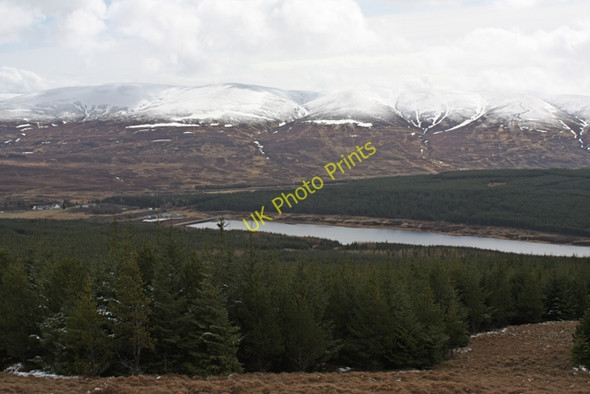 Photo 6"x4" Caochan Wood Dalwhinnie c2010