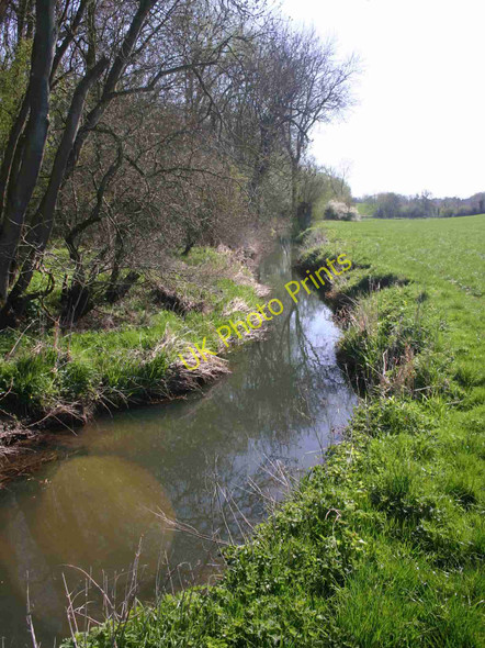 Photo 6"x4" Wagtail Brook by Bath Ground Coppice Idlicote c2010