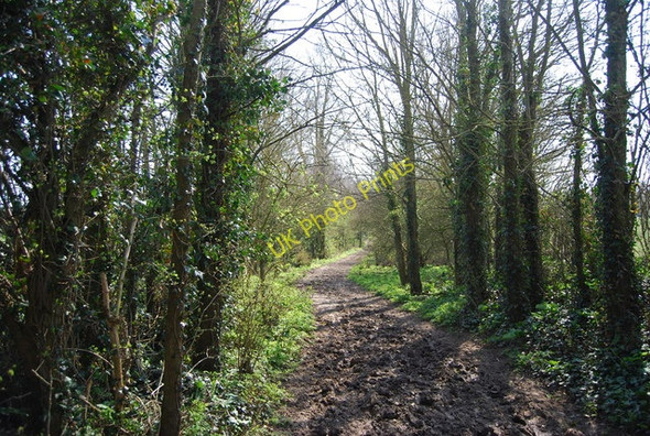 Photo 6"x4" Muddy Bridleway to Alfriston Milton Street c2010