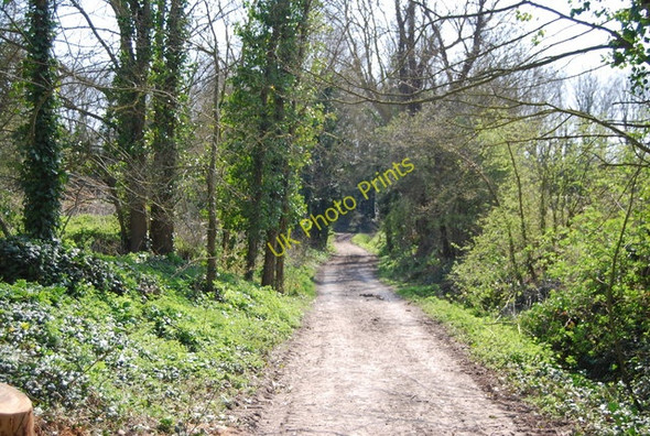 Photo 6"x4" Bridleway to Winton Street Winton\/TQ5203 c2010