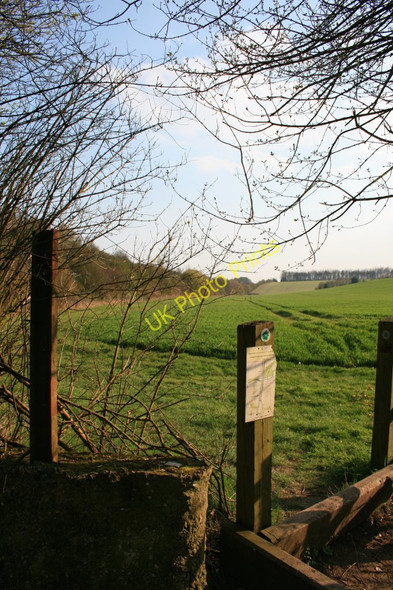 Photo 6"x4" Start of permissive path Litchfield c2010