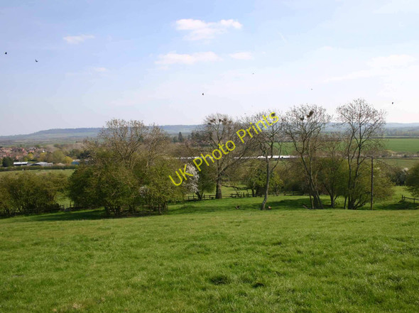 Photo 6"x4" Rookery on Pittern Hill, Kineton Kineton\/SP3351 c2010