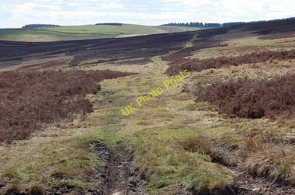 Photo 6"x4" Track traversing Wheelburn Law Blythe c2010
