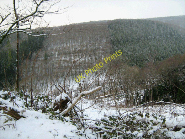Photo 6"x4" Brechfa Forest in the snow Nant-y-ff\u00een\/SN5532 c2010
