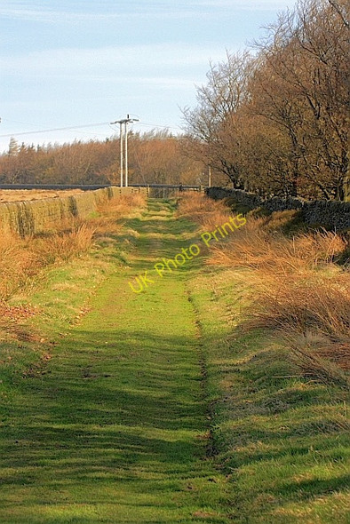 Photo 6"x4" Moscar Cross Road Hollow Meadows c2010