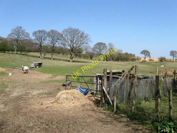 Photo 6"x4" Sewers Bridge Land Hall's Close c2010