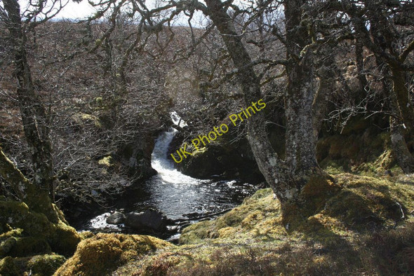 Photo 6"x4" Riverside woodland Carn Gorm\/NH1350 c2010