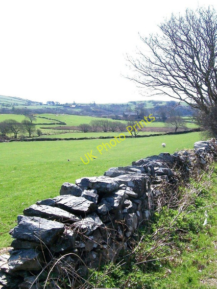 Photo 6"x4" Field boundary wall of sheep pastures Criccieth c2010