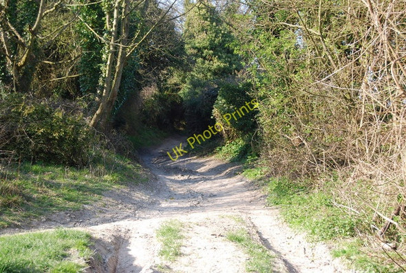 Photo 6"x4" Green Lane Jevington c2010