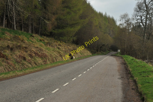Photo 6"x4" B852 on the shore of Loch Ness near Erchite Wood Torness\/NH5827 c2010