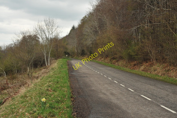 Photo 6"x4" B852 on the shore of Loch Ness Strone\/NH5228 c2010