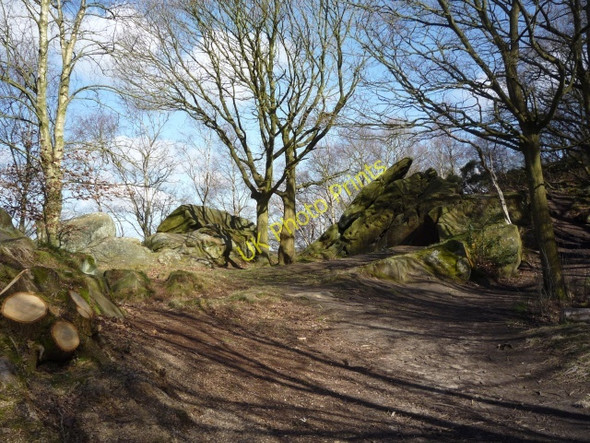 Photo 6"x4" Birk Crag Harlow Carr c2010
