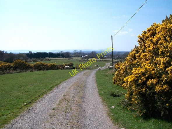 Photo 6"x4" Braich-y-Saint lane descending towards the west Criccieth c2010