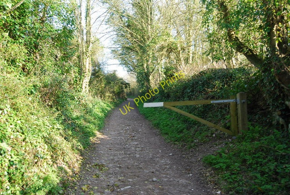 Photo 6"x4" Barrier on The South Downs Way Jevington c2010