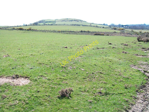 Photo 6"x4" Open sheep pastures north of the summit of Mynydd Ednyfed Criccieth c2010