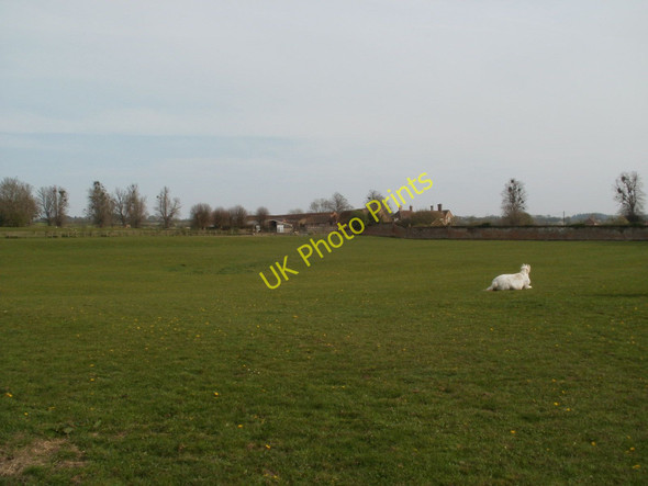Photo 6"x4" Barford Park Farm Downton\/SU1821 c2010