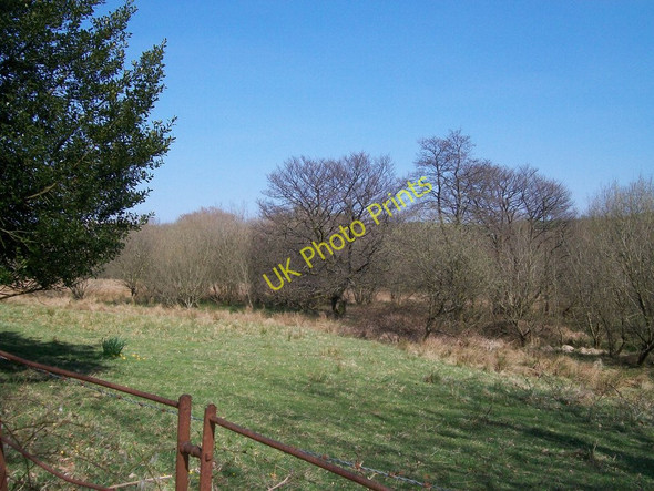Photo 6"x4" Valley land below Ymwlch fawr mansion Criccieth c2010