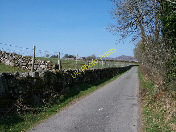 Photo 6"x4" The Ymwlch road south of Ymwlch Ganol farm Golan c2010
