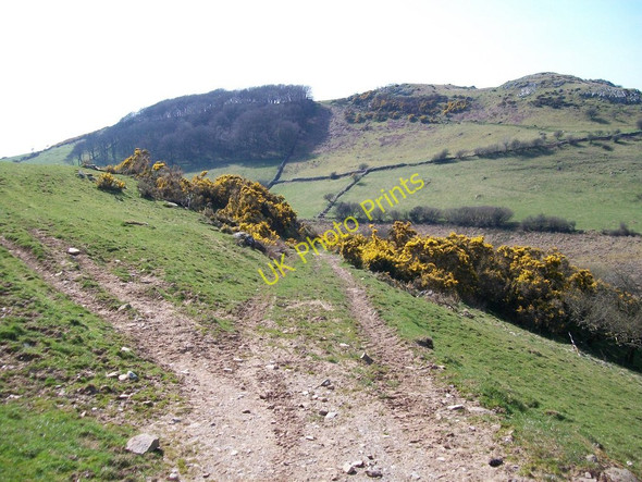 Photo 6"x4" Track down from Ymwlch to the valley floor Dolbenmaen c2010