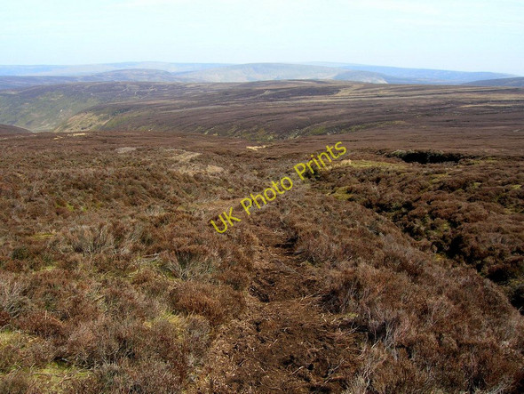 Photo 6"x4" Heather moorland above Bleadale Fair Oak\/SD6446 c2010