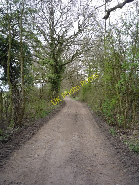 Photo 6"x4" Track to White House Farm Crockey Hill c2010