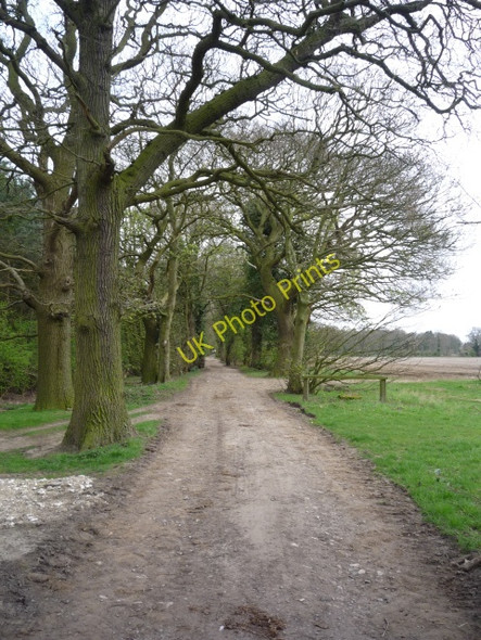 Photo 6"x4" Bridleway to Tillmire Farm Crockey Hill c2010