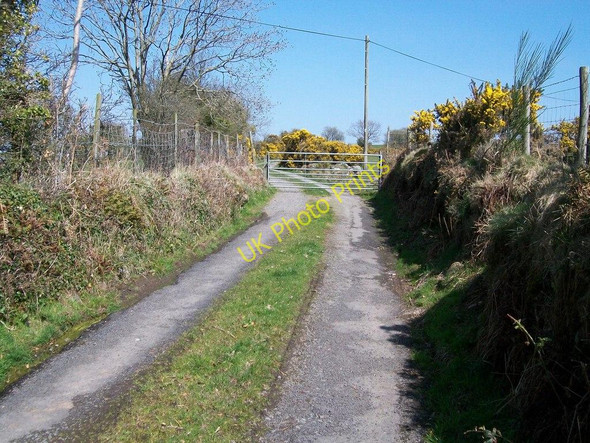 Photo 6"x4" Gate at the western end of the Braich-y-Saint lane Criccieth c2010