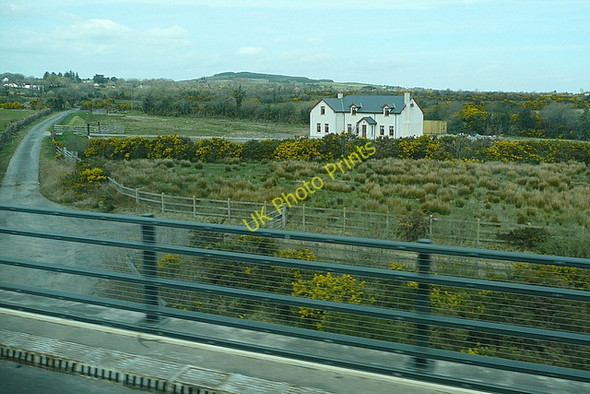 Photo 6"x4" Pastures at Carrowreagh Taghmon c2010