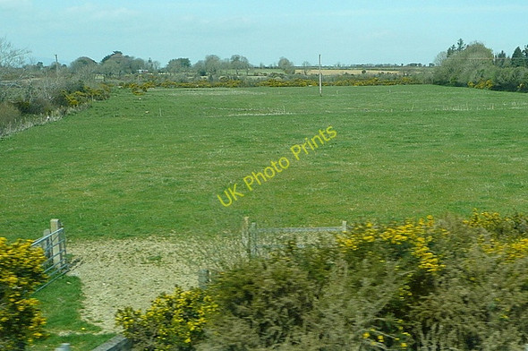 Photo 6"x4" Pasture at Poulpeasty Taghmon c2010