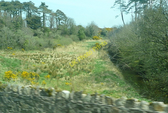 Photo 6"x4" Rough ground at Roxborough Wexford c2010