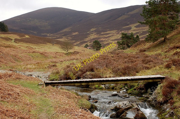 Photo 6"x4" Footbridge over Drumelzier Burn Drumelzier\/NT1334 c2010