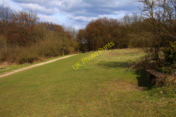 Photo 6"x4" The Ridgeway on Coombe Hill Wendover c2010