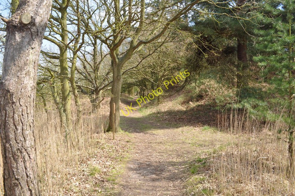 Photo 6"x4" Southwold Railway Trackbed Blythburgh c2010