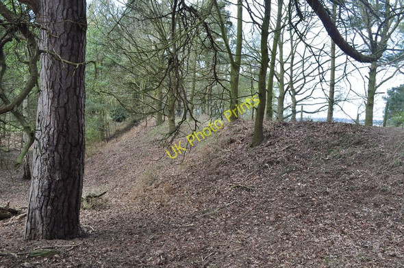 Photo 6"x4" Southwold Railway Embankment Blythburgh c2010